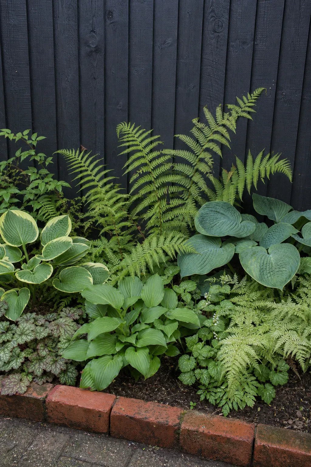 Ferns and foliage planted against a dark timber fence