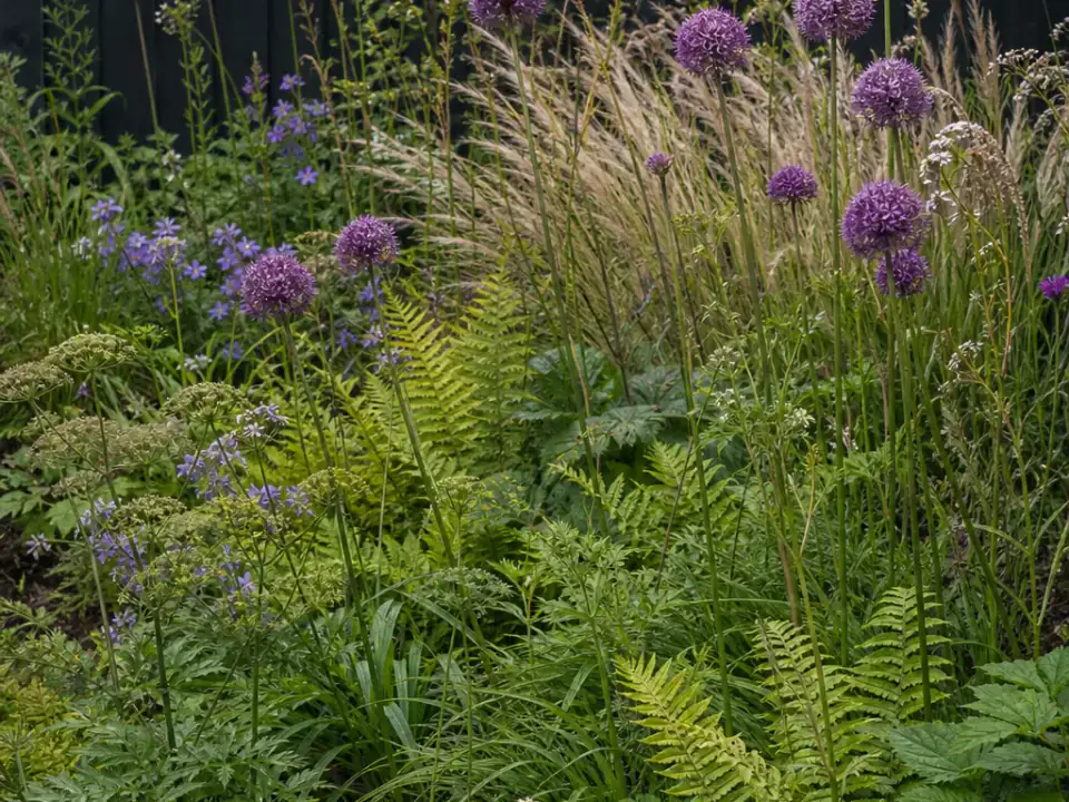 Example image for Garden landscaping